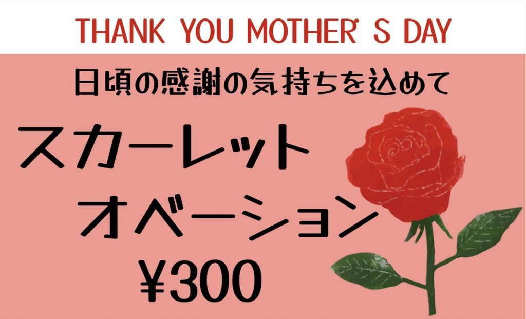 赤いバラの描かれた母の日の販促ツール