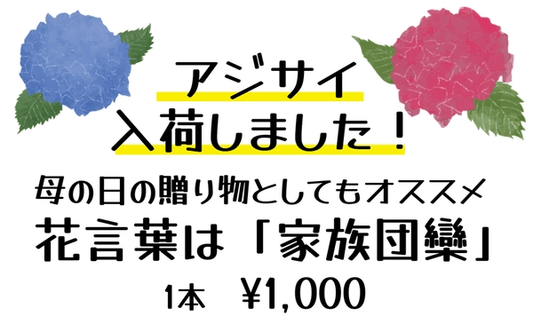 アジサイのイラストが入った母の日の販促ツール